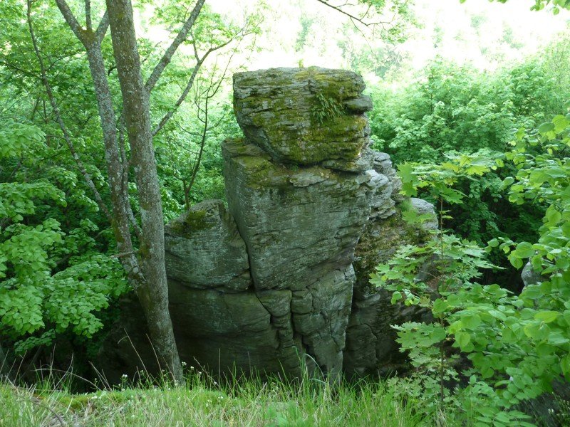 2013
